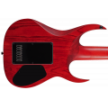 Solar Guitars A1.7TBR LH