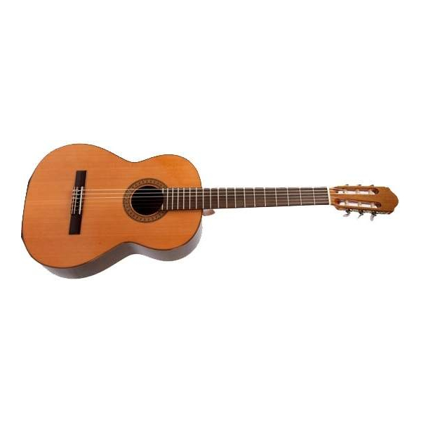 maton c50